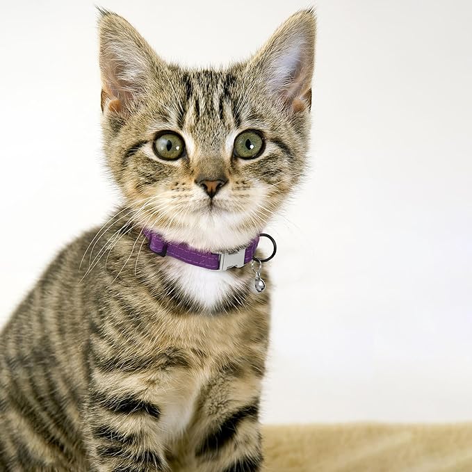 Leather Cat Collar with Buckle and Removable Bell - Non Breakaway Adjustable Soft Safety Small Pet Collars for Girl Boy Cats Kitten (Purple)
