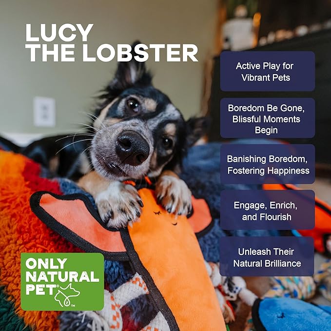 Only Natural Pet Sea Creatures Recycled Plush Dog Toy – Durable Double-Stitched Design w/Internal Squeaker, Rope Tug Arms & Plush Tail – Eco-Friendly Squeaky Toy for Dogs | Lucy The Lobster 11” x 12”