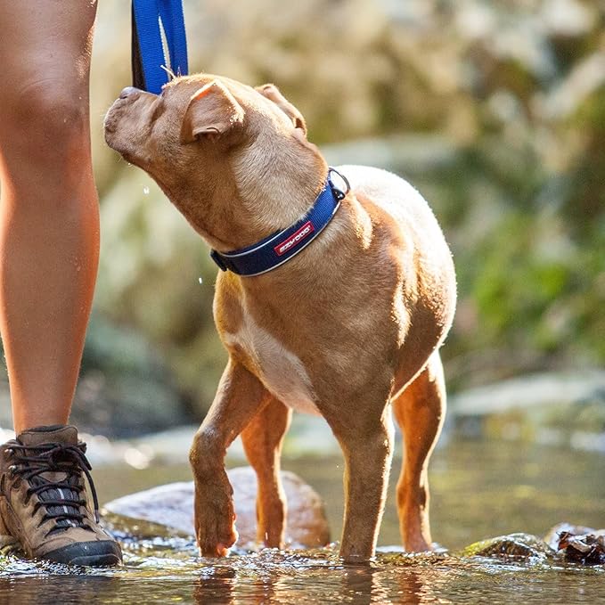 EzyDog Neo Dog Collar - Waterproof & Reflective Dog Collar with Soft Padded Neoprene for Comfort & Durable Nylon – Features Quick Release Buckle and Built-in ID Clip (X-Large, Pink Camo)