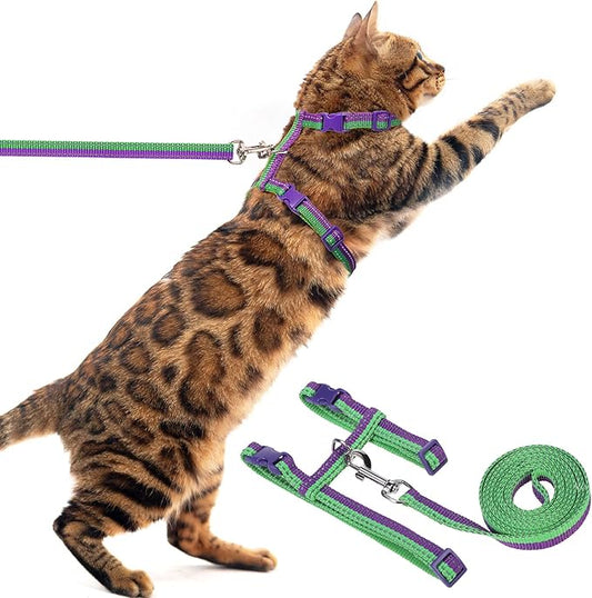 PUPTECK Adjustable Cat Harness and Leash Set Escape Proof Kitten Strap Collar for Walking Travel, Purple Green