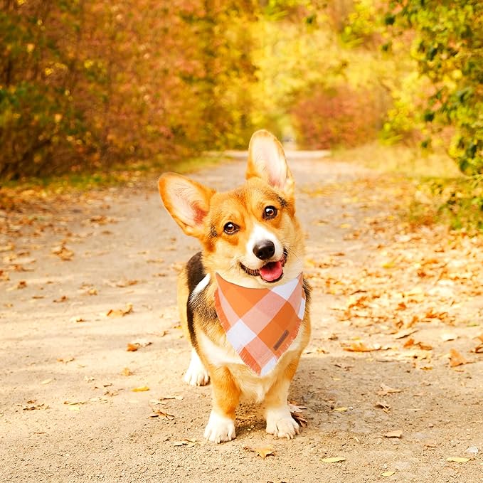 ADOGGYGO Fall Dog Bandanas, Halloween Thanksgiving Pet Bandana, Multiple Sizes Offered, Orange Plaid Fall Holiday Bandana for Small Dogs Pets (Small)