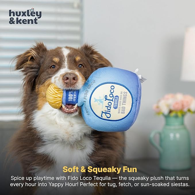Huxley & Kent Funny Dog Toy w/Squeaker – Power Plush Squeaky Dog Toys for Small, Medium & Large Dogs – Soft Stuffed Animal for Indoor Play & Fetch - Fido Loco, Small