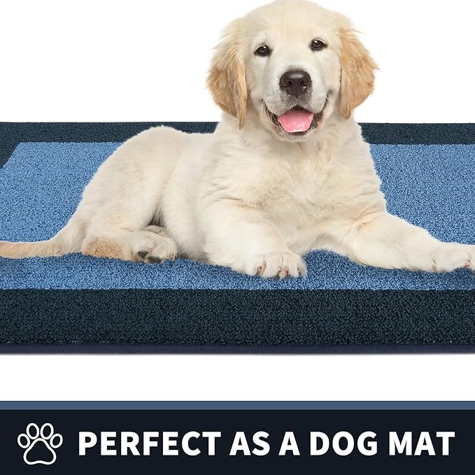 PURRUGS Dirt Trapping Door Mat 20" x 32", Non-Slip/Skid Machine Washable Entryway Rug, Shoes Scraper, Throw Rug, Super Absorbent Area Rug for Muddy Wet Shoes and Paws, Light Blue & Navy