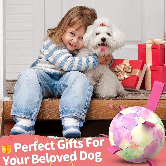 QDAN Dog Balls, Dog Soccer Ball with Straps, Puppy Toy Balls for Small Medium Dogs, Dogs Water Toys Pool Toys, Puppy Pet Birthday Gifts, Rainbow（6 Inch）