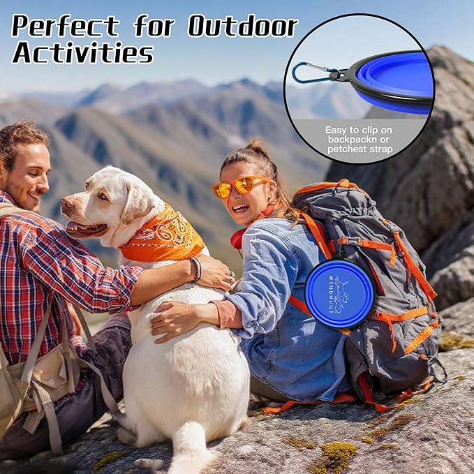 2-Pack Collapsible Dog Bowls, Portable Travel Pet Bowl with Carabiner – Foldable Silicone Feeding Dish for Dogs and Cats On-The-Go (Green + Blue)