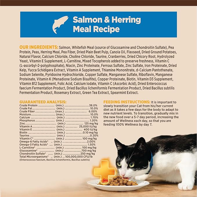 Wellness CORE+ Adult Dry Cat Food for Indoor Cats, Grain-Free, Natural, Salmon and Herring Meal (11 Pound Bag)