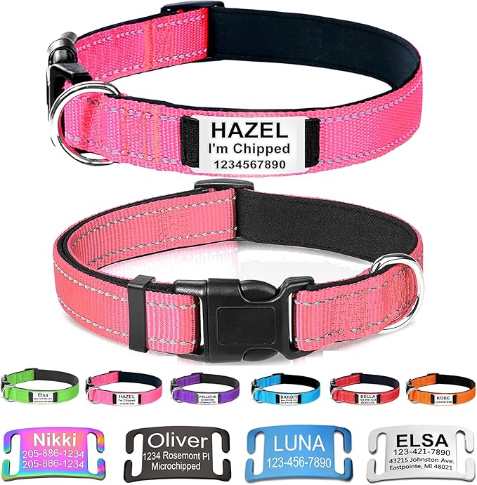 Custom Dog Collars with Name Plate, Engraved Name Plate ID Tags with Reflective Nylon Dog Collar,Soft Neoprene Padded Adjustable Pet Collar for Small Medium Large Dogs,XS Pink