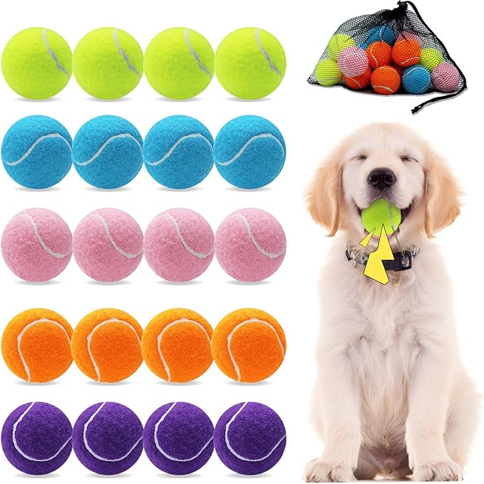 Magicorange 20 Pack Small Tennis Balls, 2 inch Squeaky Tennis Ball for Dogs,Colorful Easy Catching Squeaky Dog Balls with Mesh Bag for Easy Transport (Multicolor)