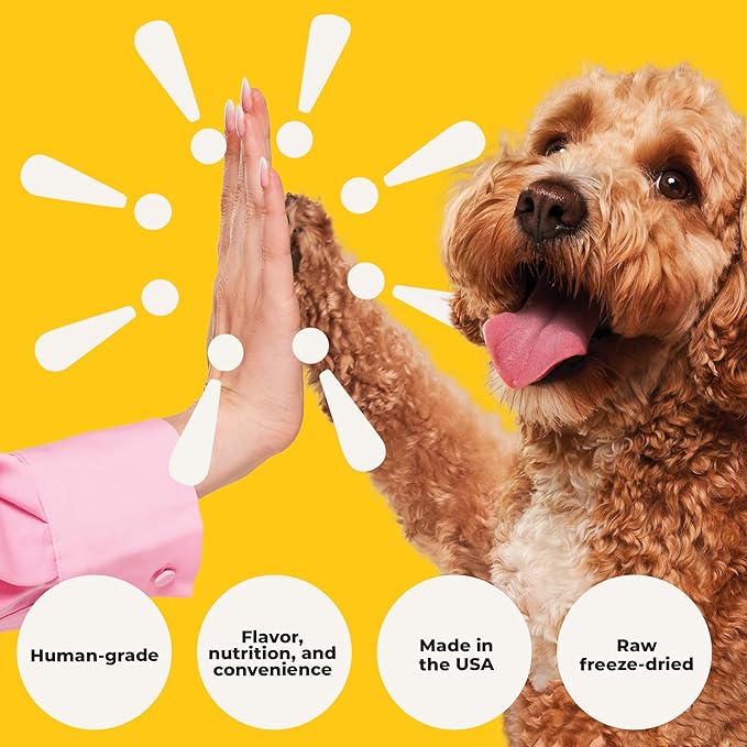 Beef Lover - Freeze Dried Beef Liver Dog Treats - Single Ingredient Human Grade Raw Beef Liver Bites for Training, Meal Topper, No Additives, High Protein, 31g Per Cup, 4oz Bag