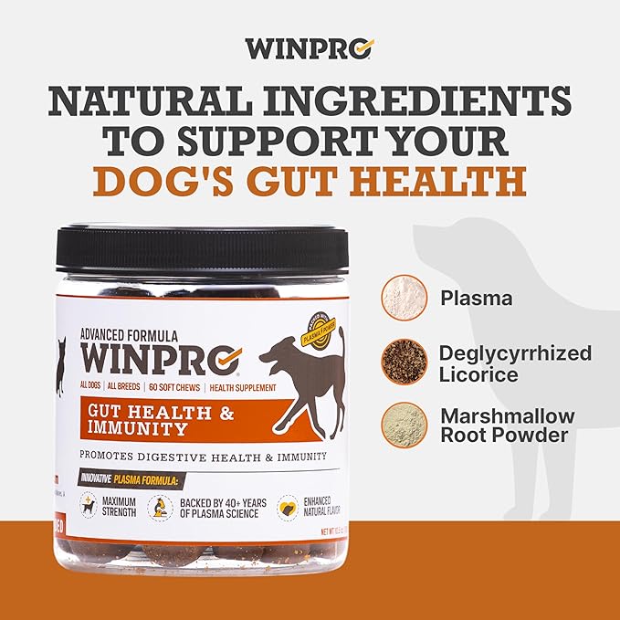 WINPRO Dog Gut Health Supplements – Plasma-Powered Chews for Dog Immune Support & Digestive Health, Fast-Acting Solution for Gut Health for Dogs of All Breeds & Sizes, 60 Count, Made in USA