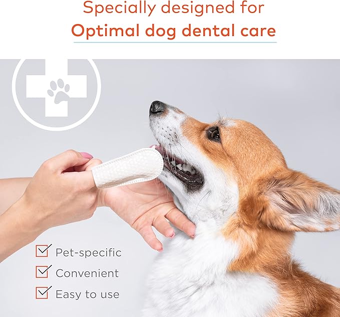 Ultimate Care Bundle: First Aid Kit, Ear Cleaner Wipes & Dental Care Wipes