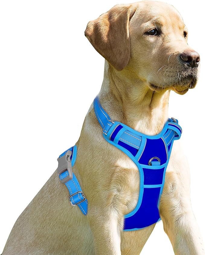 BARKBAY No Pull Dog Harness Front Clip Heavy Duty Reflective Easy Control Handle for Large Dog Walking(Sapphire Blue & Blue,S)