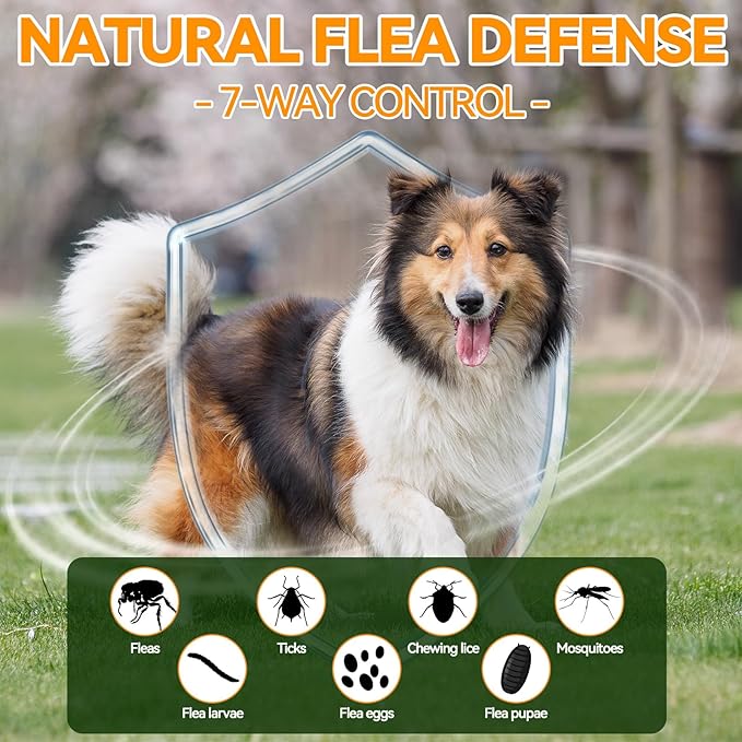 Flea and Tick Prevention for Dogs - 200 Chews Natural Dog Flea and Tick Support, Oral Flea Supplement for All Dogs, Supports Healthy Skin & Coat, Puppy Flea Protection - Chicken Flavor