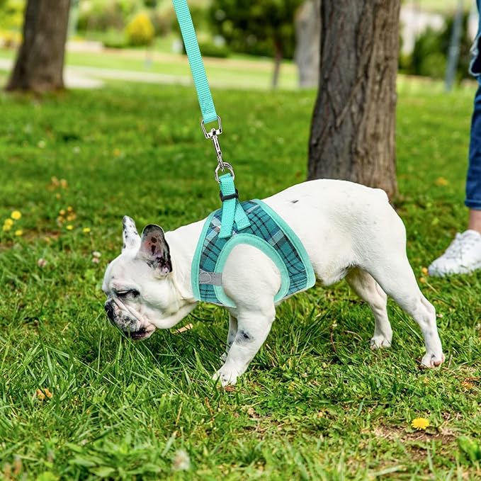 PUPTECK Adjustable Dog Harness Collar and Leash Set Step in No Pull Pet Harness for Small Medium Dogs Puppy and Cats Outdoor Walking Running, Soft Mesh Padded Reflective Vest Harnesses, Lake Green S