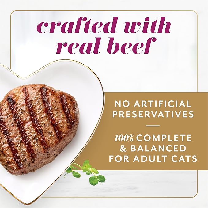 Fancy Feast Gems Pate Cat Food Mousse with Beef and a Halo of Savory Gravy Cat Food - (Pack of 8) 4 oz. Boxes