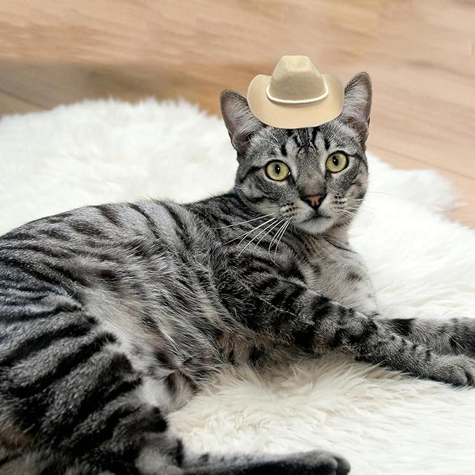 Dog Cowboy Hat Cat Cowboy Hat Pet Cowboy Costume Mini Cowboy Hat for Dogs Cat Holiday Halloween Pet Party Decoration (Khaki-style3, Small)