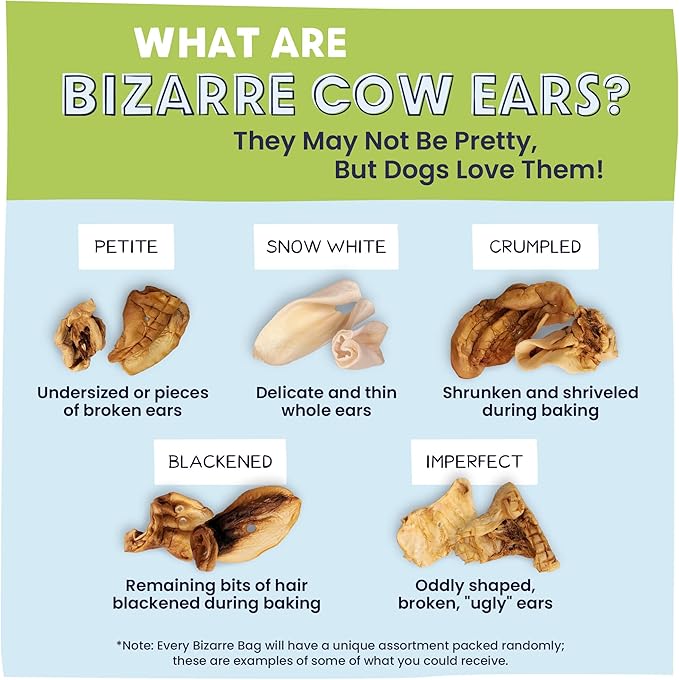 Pawstruck Natural Bizarre Cow Ears Bargain Bag – Rawhide-Free, Highly Digestible, Low Calorie & Long-Lasting Chew Treat for All Breeds – 1.5 lb Bag