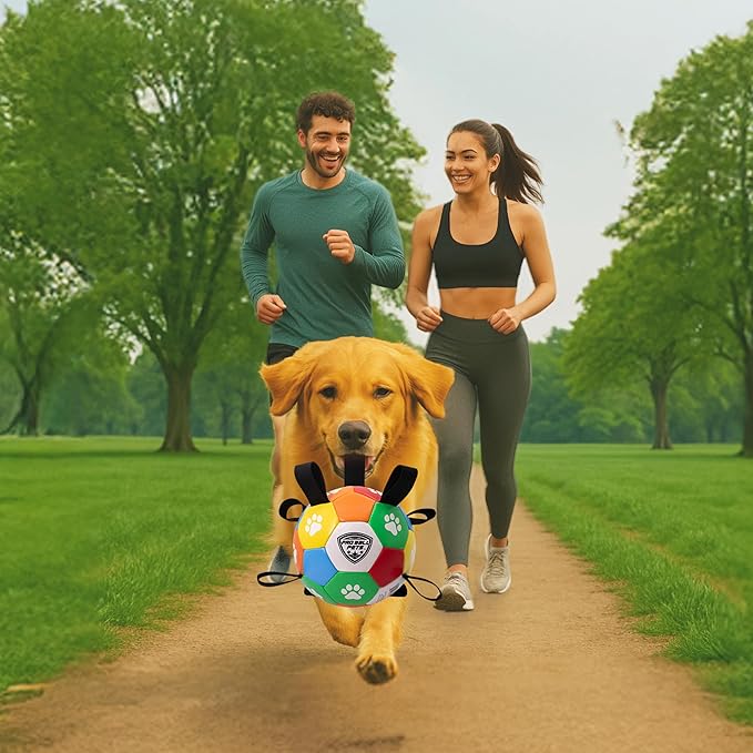 ProBall Pets Interactive Dog Soccer Ball with Grab Tabs - Floats on Water, Fetch & Training Toy for Small Medium Dogs, Herding Breeds - Waterproof Non-Toxic - 6" Multicolor