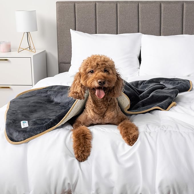 PetAmi Waterproof Dog Blanket for Medium Large Dogs, Pee Proof Pet Blanket for Bed Couch, Reversible Water Proof Blanket for Puppy Indoor Cat, Soft Dog Pee Crate Cover Washable, 60x80 Gray/Beige.