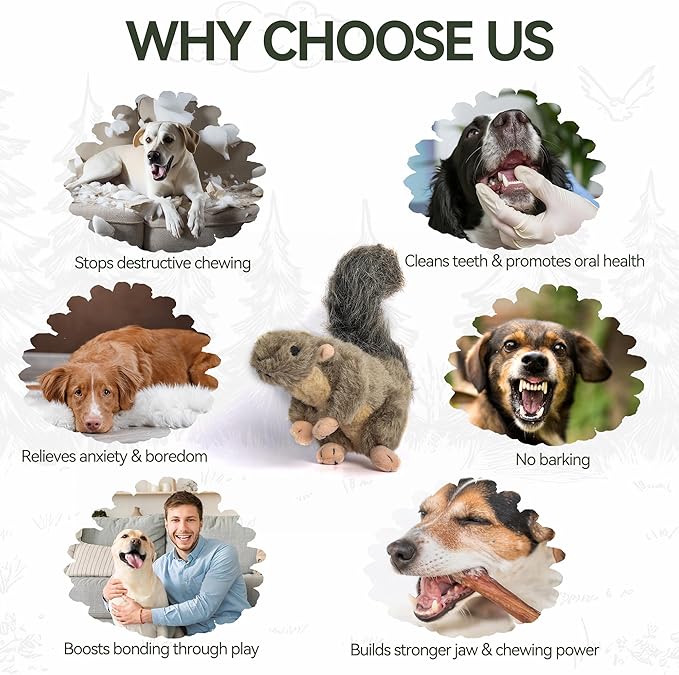 ALL FOR PAWS Interactive Dog Squirrel Plush Squeaky Toy - Perfect Puppy Enrichment Toy, Large