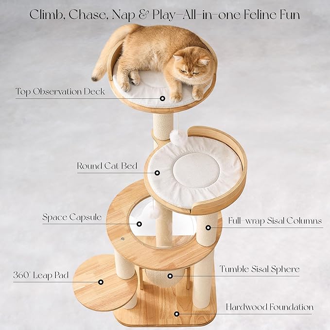 797Audio Modern Solid Wood Cat Tree Tower, 49" Tall Cat Tree with Sisal Scratching Posts and Capsule for Large Cats, Natural Oak Wooden Cat Tower,Aesthetic Multi-Level Cat Climbing Tree for Indoor Cat