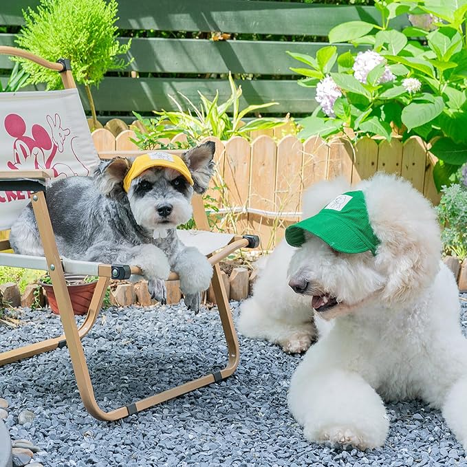 Pet Dog Baseball Cap, Cat Hat, Cat Dog Sun Cap with Ear Holes, Adjustable Puppy Outdoor Sun Hat (Yellow, Medium)