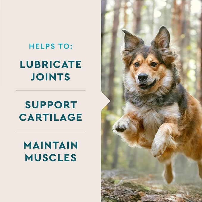 VetIQ Glucosamine Hip & Joint Supplement for Dogs, 180 Soft Chews, Joint Support Supplement with MSM and Krill, Dog Health Supplies Large & Small Breed, Chicken Flavored Chewables