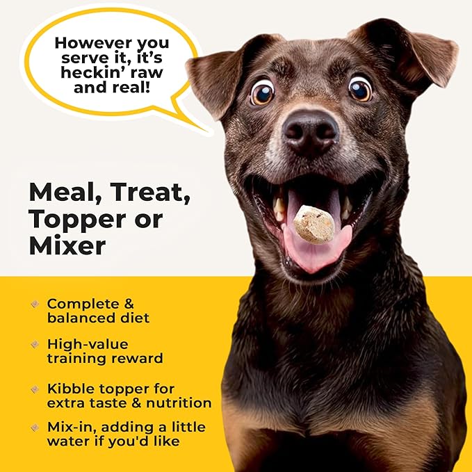 Bow Wow Beef - Freeze Dried Raw Dog Food, Complete Meal, Beef Liver and Kidney Bites for Training, Meal Topper, High Protein, 21g Per Cup, Made in The USA, 8oz Bag