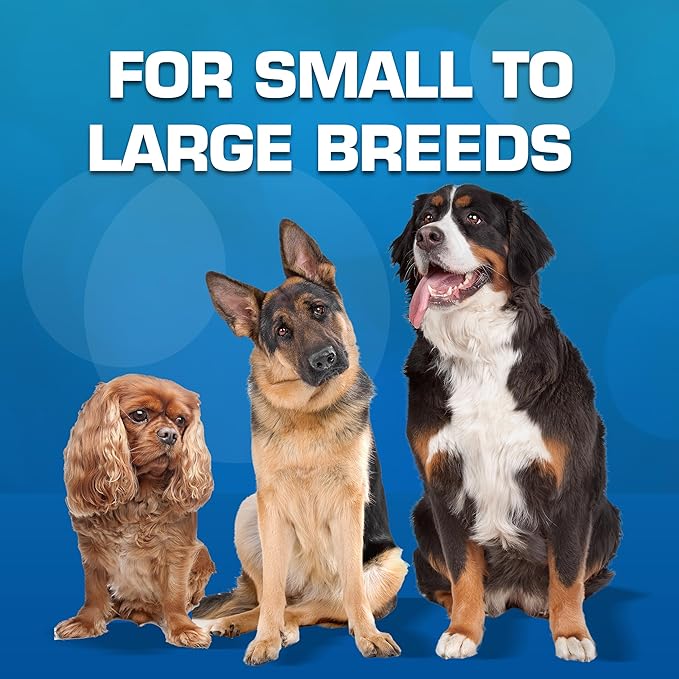 Nerf Dog Exo Squeak Stick Outdoor Dog Toy, 8 Inch Squeaking Puppy Toy for Puppies and Small Dogs, Blue/Orange