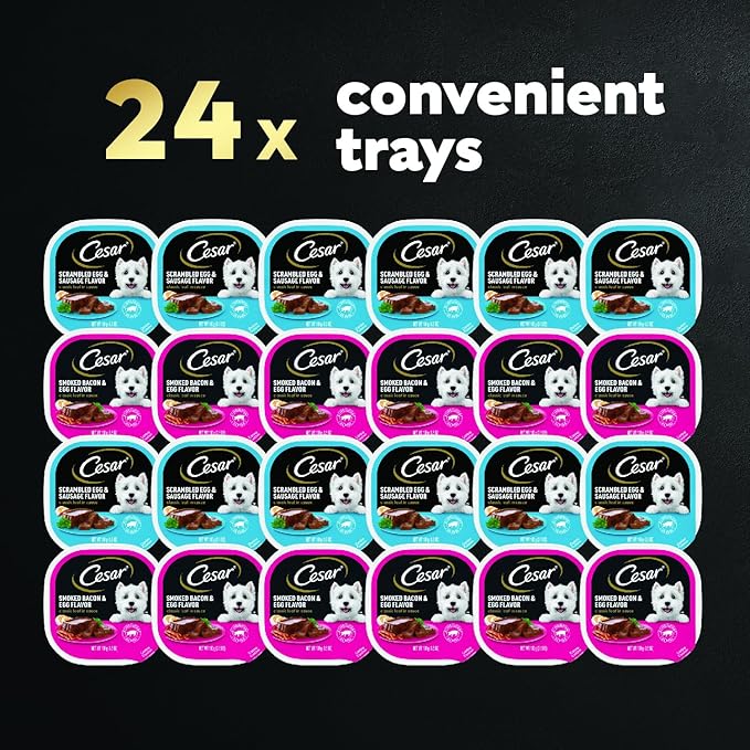 Cesar Wet Dog Food Classic Loaf in Sauce Breakfast Variety Pack, 3.5 oz. Easy Peel Trays (12 Count, Pack of 2)