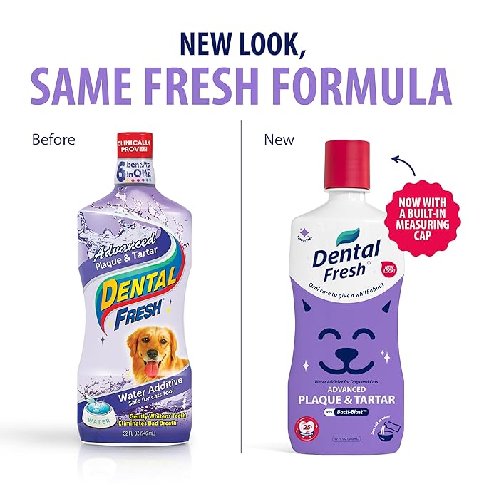 Veterinary Formula Dental Fresh Water Additive for Dogs and Cats, Advanced Plaque and Tartar Control, 32 Fl Oz