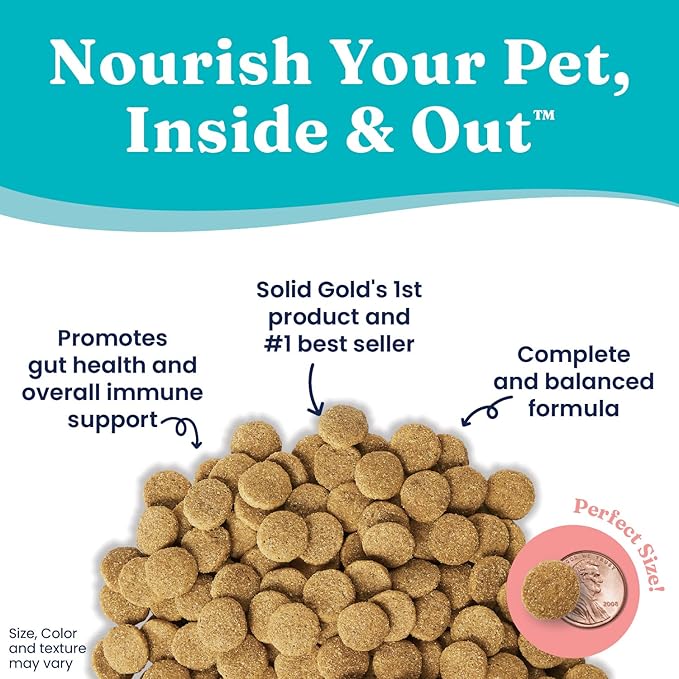 Solid Gold Lamb Dog Food Dry for Adult & Senior Dogs– High Protein Healthy Dog Kibble for Medium & Large Breeds – Whole Grain, Omega 3 & Digestive Probiotics for Gut Health & Everyday Nutrition – 4 LB