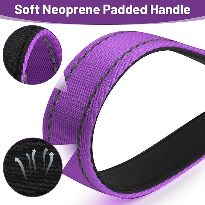 ZALER Short Dog Leash 2 ft, 24 Inches Traffic Leashes for Dogs, Nylon Reflective Dog Lead with Padded Handle, Heavy Duty Pet Leash with Carabiner Clip for Large and Medium Dogs (24" Purple)