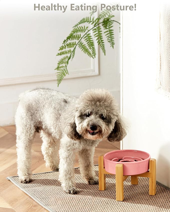 Ceramic Slow Feeder Dog Bowls Elevated, 0.6 Cup Slow Feeder for Small Dogs and Cats, Puzzle Maze Bowl, Prevents Choking, 6in, Pink