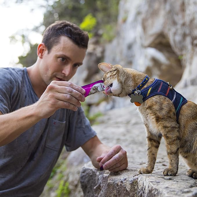 Nulo Freestyle Grain-Free Perfect Purees Premium Wet Cat Treats, Squeezable Meal Topper for Felines, High Moisture Content to Support Cat Hydration, 0.5 Ounce, Tuna & Scallop