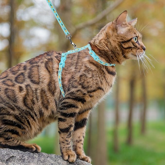 PUPTECK Adjustable Cat Harness and Leash Set Escape Proof Kitten Strap Collar for Walking Travel, Pineapple