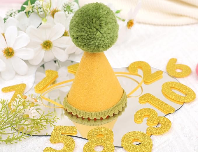 Pet Birthday Hat with Interchangeable Numbers 1-10 | Adjustable Pet Party Cone Hat for Dogs & Cats | Puppy Birthday Photo Props for 1st to 10th Birthday Celebrations (Yellow Green Birthday Pet Hat)
