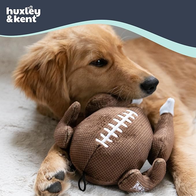 Huxley & Kent Funny Dog Toy w/Squeaker – Thanksgiving Fall Power Plush Squeaky Dog Toys for Small, Medium & Large Dogs – Soft Stuffed Animal for Indoor Play & Fetch - Turkey Bowl, Small