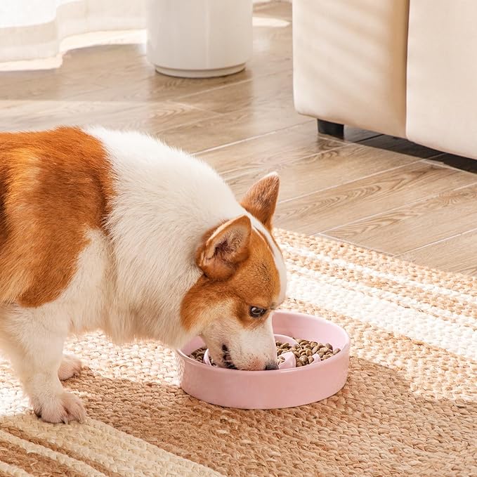 vancasso Slow Feeder Dog Bowl, 1.5 Cups Ceramic Slow Feeder for Medium Breed, Puzzle Maze Food Dog Bowl for Fast Eater, Pink