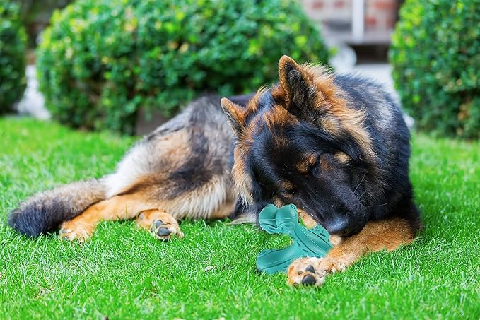 Dog Chew Toys for Aggressive Chewers Large Breed,Indestructible Bones Toy，Durable Cleaning Toothbrush Natural Rubber Dog Toys… (Blue)