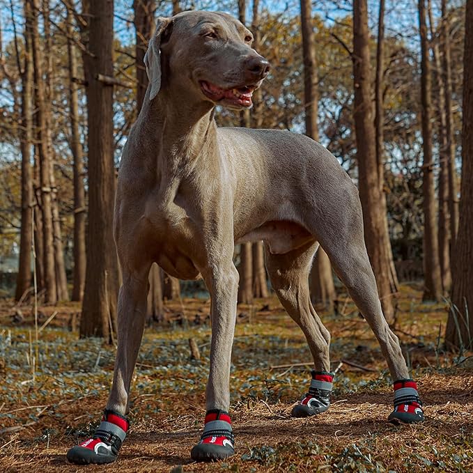 Dog Shoes, Waterproof Dog Boots & Paw Protectors with Anti-Slip Sole, 4pcs/Set Pet Dog Booties, Reflective Dog Shoes for Small Medium Large, Winter Snowy Summer Hot Pavement (Red, 8# (2XL))