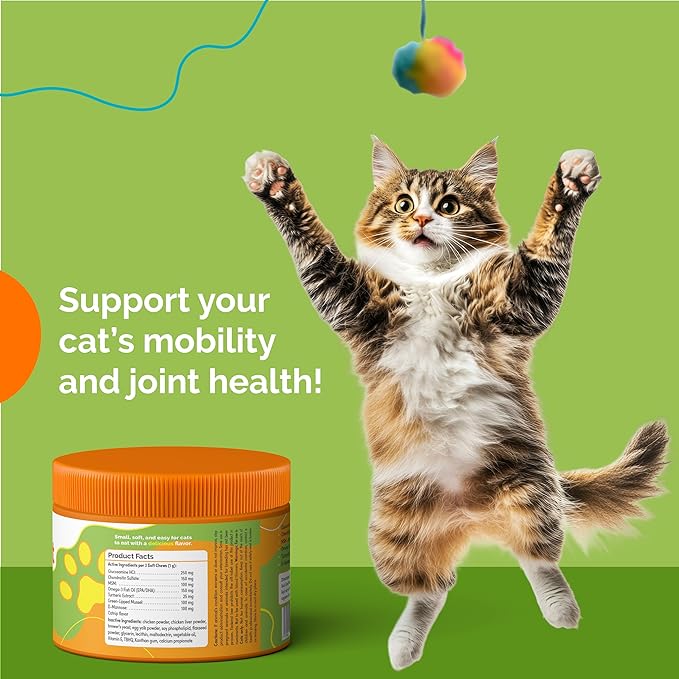 Joint Support Soft Chews Supplements | Cat Wellness Formula with Glucosamine | Joint Support & Pain Relief for Cats of All Ages | Vet-Approved Mobility Support | 200 Count