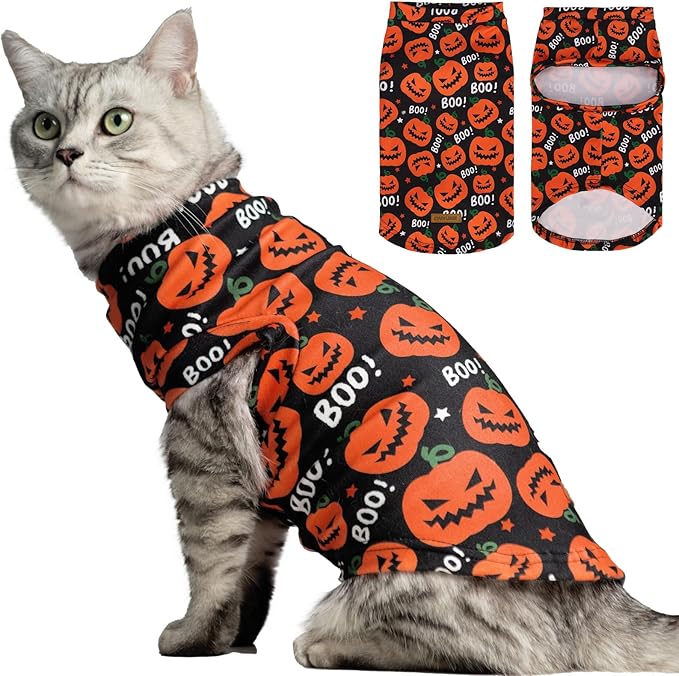 EXPAWLORER Cat Halloween Sweater - Sweaters for Cats Only Soft Warm Pet Clothes, Fall and Winter Pumpkin Coat Pullover Design, Fleece Sweatshirt Clothing Also for Puppy Small Dogs, Small