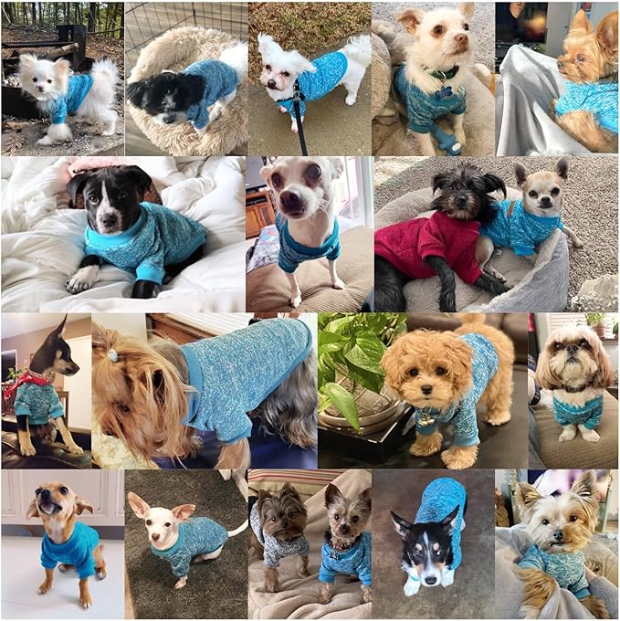 Jecikelon Dog Clothes Dogs Sweater Soft Puppies Clothing Winter Puppy Sweaters Warm Outfit for Dogs Small XXS XS Cat Apparel (Light Blue, M)