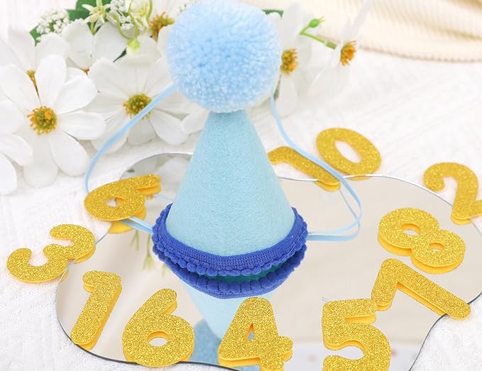 Pet Birthday Hat with Interchangeable Numbers 1-10 | Adjustable Pet Party Cone Hat for Dogs & Cats | Puppy Birthday Photo Props for 1st to 10th Birthday Celebrations (Blue Birthday Pet Hat)