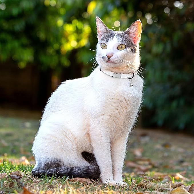 Leather Cat Collar with Buckle and Removable Bell - Non Breakaway Adjustable Soft Safety Small Pet Collars for Girl Boy Cats Kitten (White)