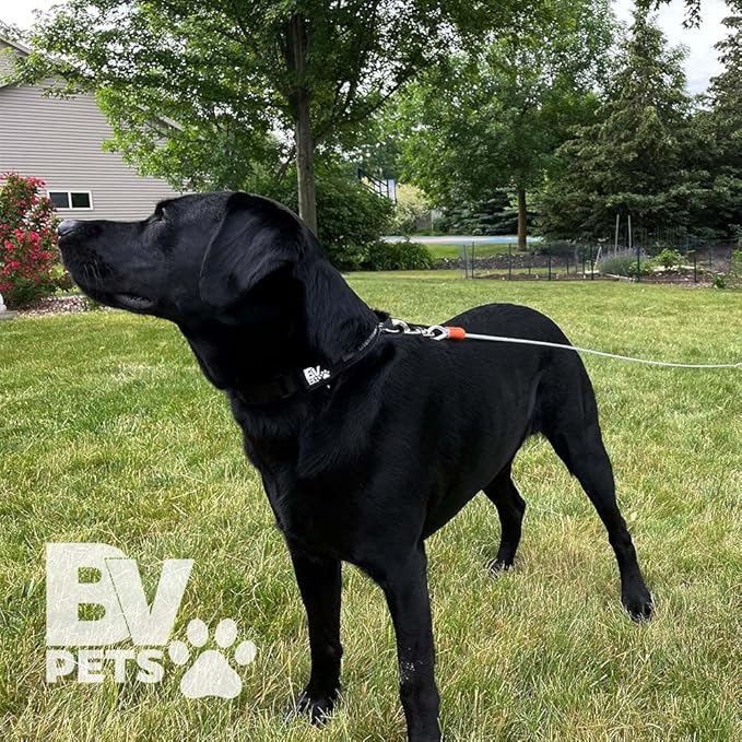 BV Dog Tie Out Cable 25 Feet - Heavy Duty Dog Lead up to 90 Pounds - Reflective & Rust-Free with Quick Release Swivel Clips & 360° Rotating Clasp - Tangle-Free Dogs Runner for Yard (Silver, Single)