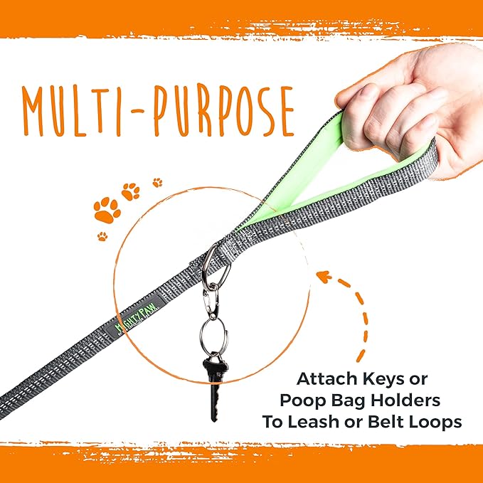 Mighty Paw Dog Tag Carabiner Clips - 3 Pack Strong Dog Clip - Weather Resistant & Easy to Clean Quick ID Holders - Easy Switch Pet Tags - Attach Keys or Poop Bag Holders - for All Size Collars