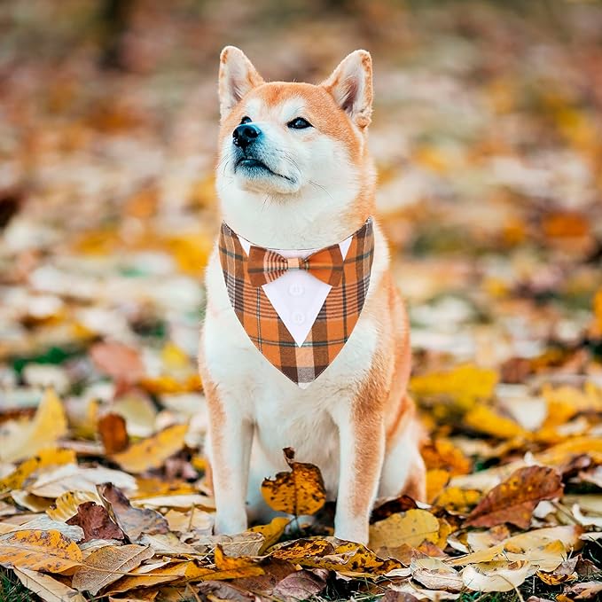 ADOGGYGO Fall Dog Tuxedo Bandana, Orange Plaid Pet Tux Collar with Bowtie, Adjustable Halloween Thanksgiving Formal Costume for Medium Dogs Pets (M)