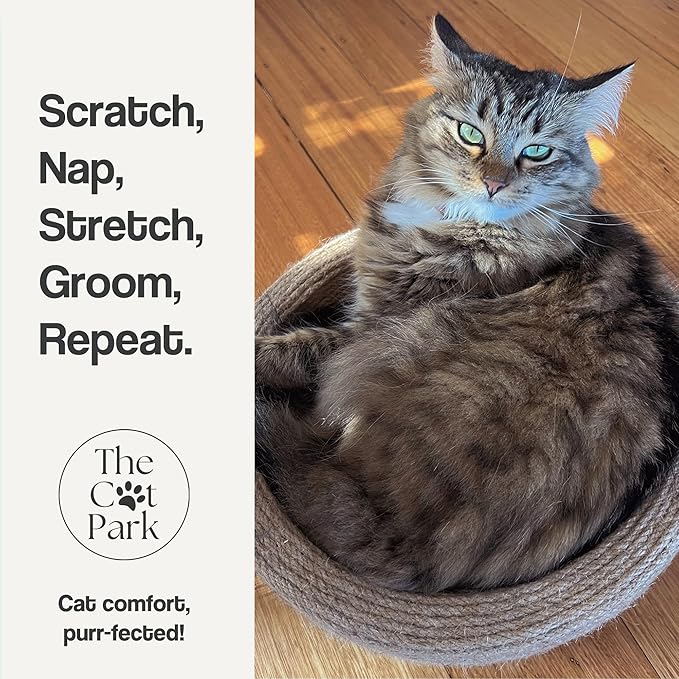 Da Bowl – 2-in-1 Sisal Cat Scratcher Bed with Catnip & Solid Wood Base for Indoor Cats, Round Scratching Nest, Jute Scratching Lounge Couch, Durable Pre-Assembled Cat Furniture, 13.8x5.9